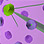 Organelle Cell Cycle